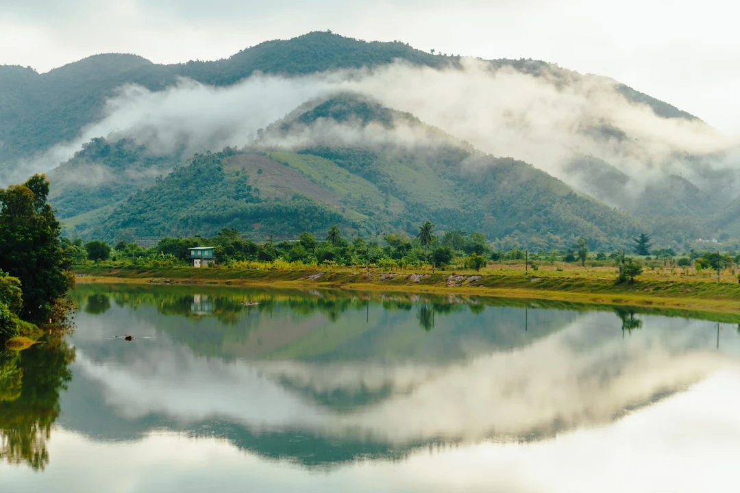 Backlink Profile Creation Sites dưới góc nhìn chuyên gia SEO