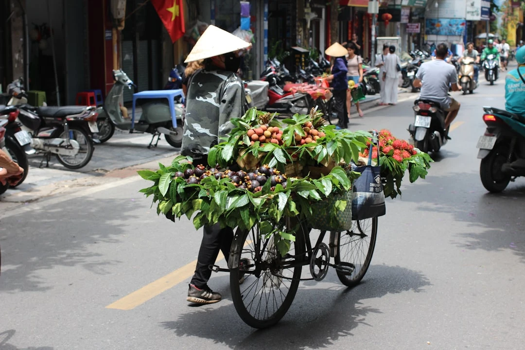 Jual Backlink Murah: Cơ Hội và Thách Thức cho SEOer