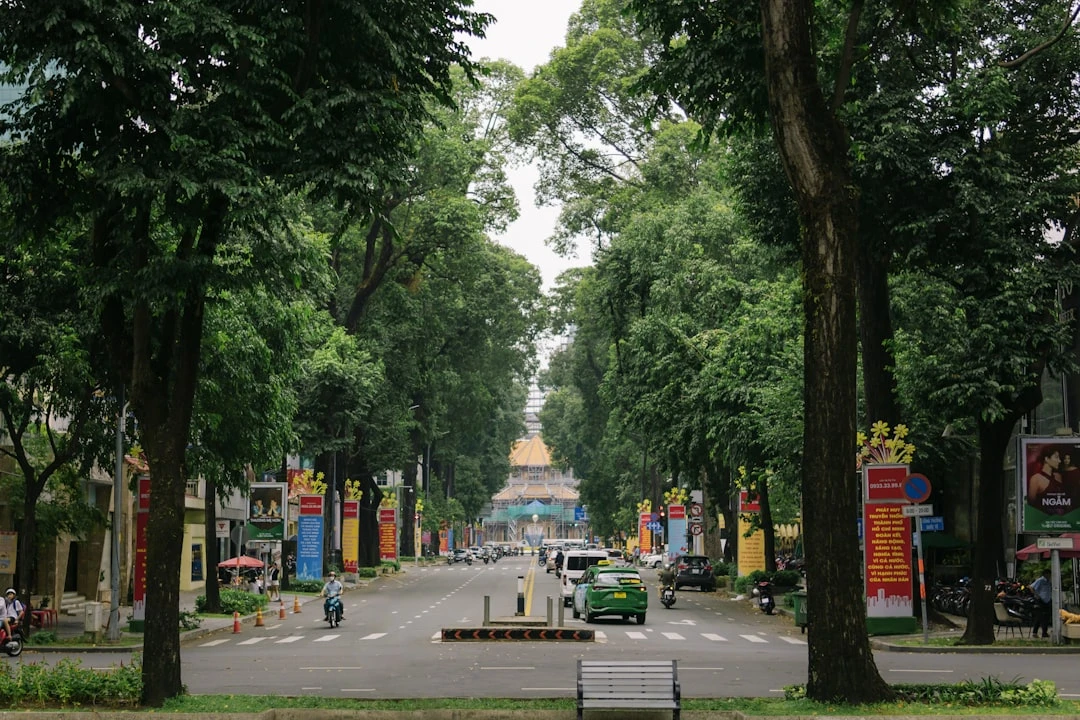 Cách Sử Dụng Backlink Viewer Hiệu Quả Trong SEO