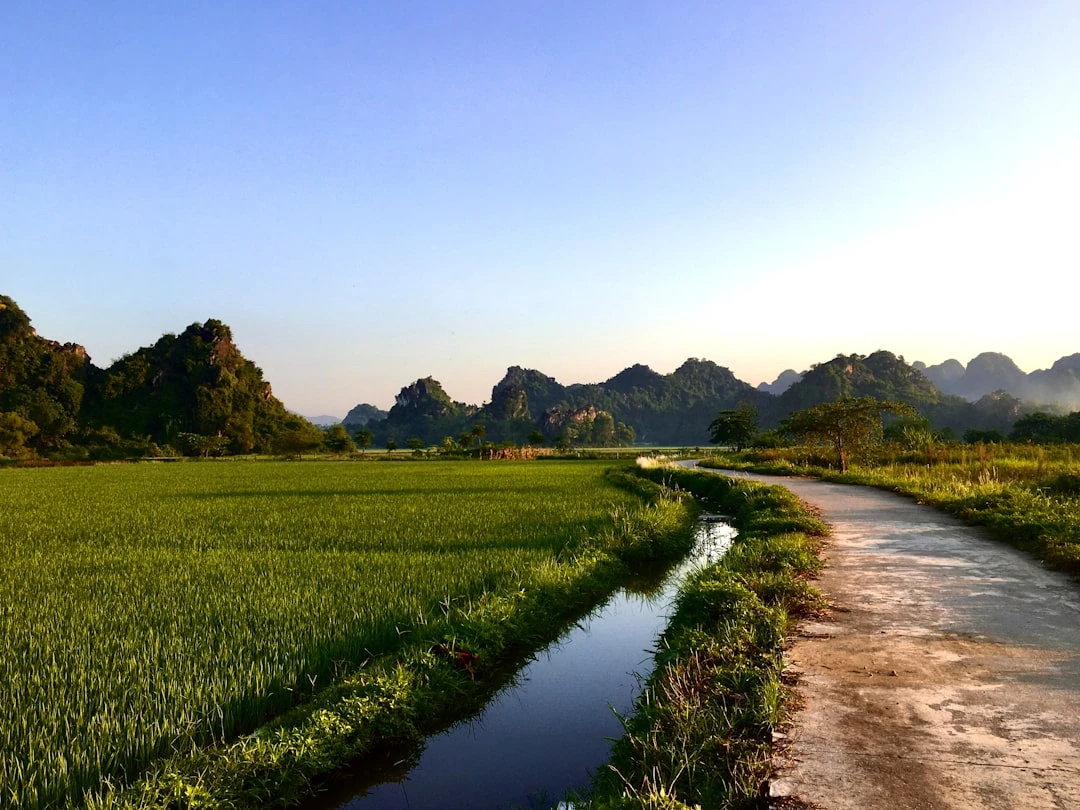 Backlink Free Website dưới góc nhìn SEO Exper