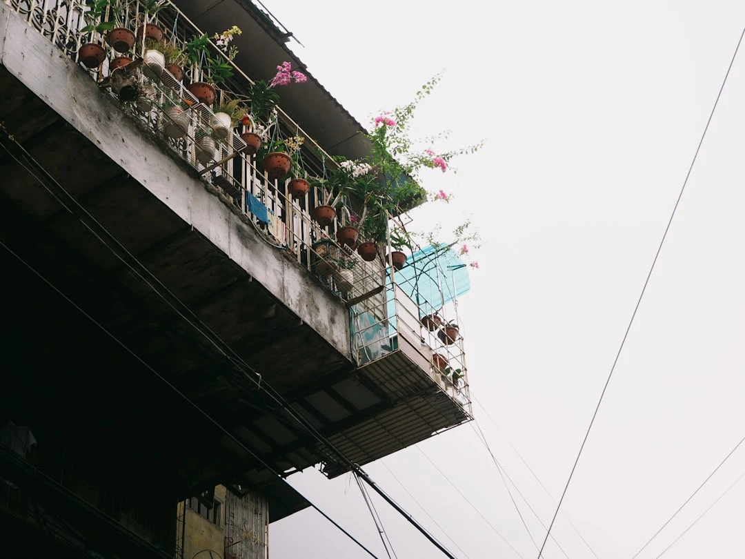 ABC Backlink: Chiến lược backlinks hiệu quả dưới góc nhìn chuyên gia SEO