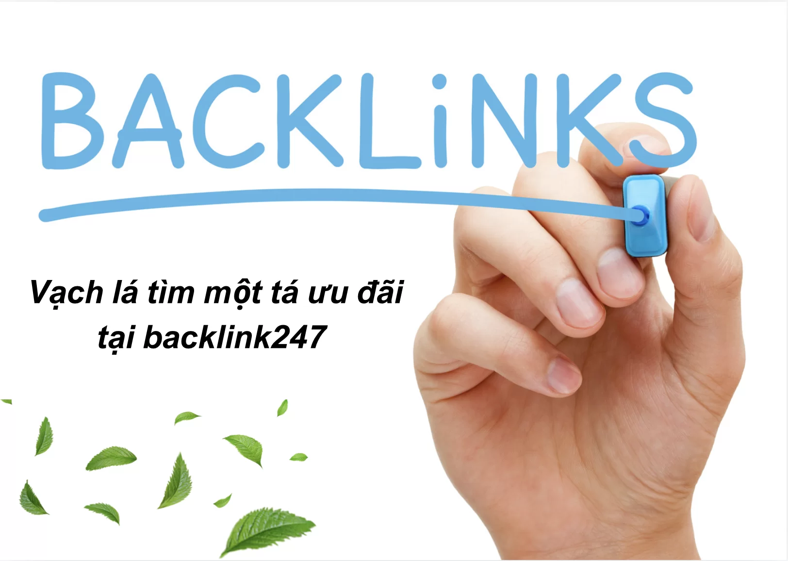 Vạch lá tìm một tá ưu đãi tại backlink247 - Bạn đã thử chưa?