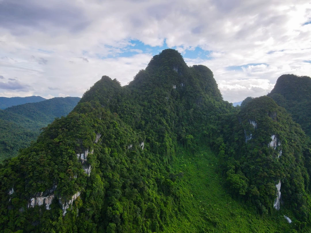 Backlink tự nhiên chất lượng cao