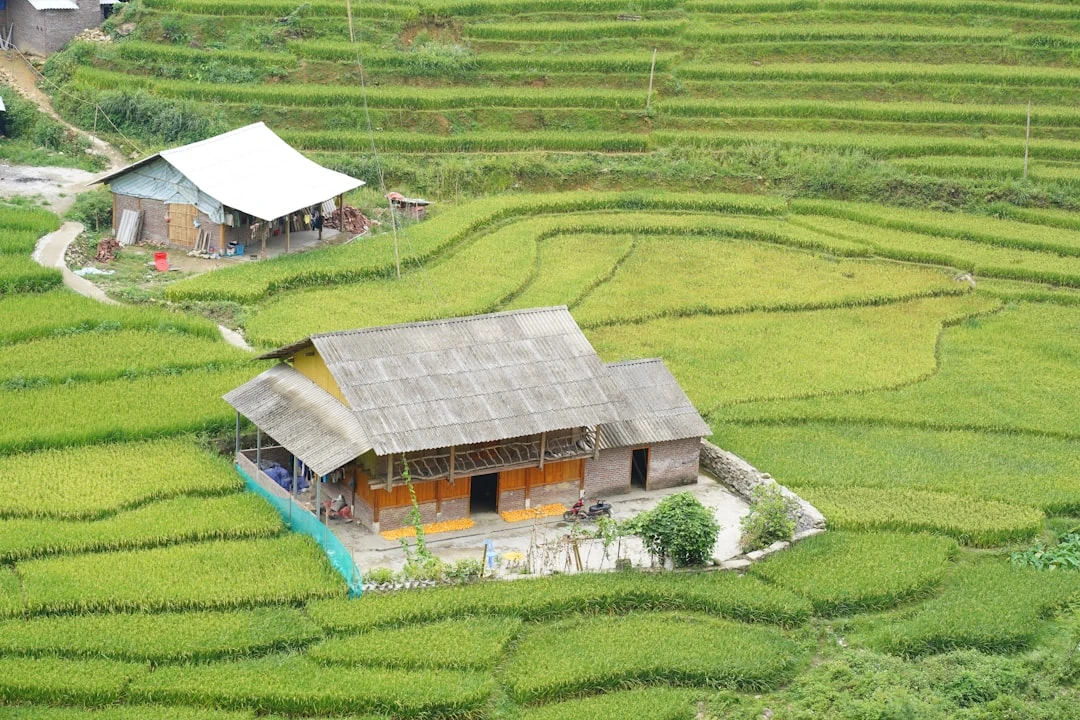 Backlink tự nhiên trong SEO