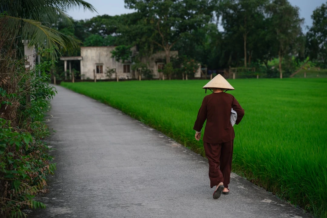 Bài học tình yêu từ 'Dìu Người Tôi Yêu'.