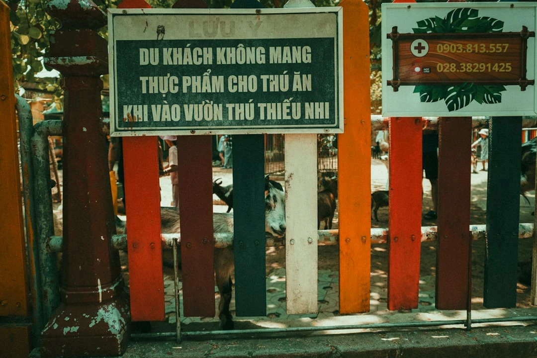 Các loại backlink AI và tác động tới Domain Authority