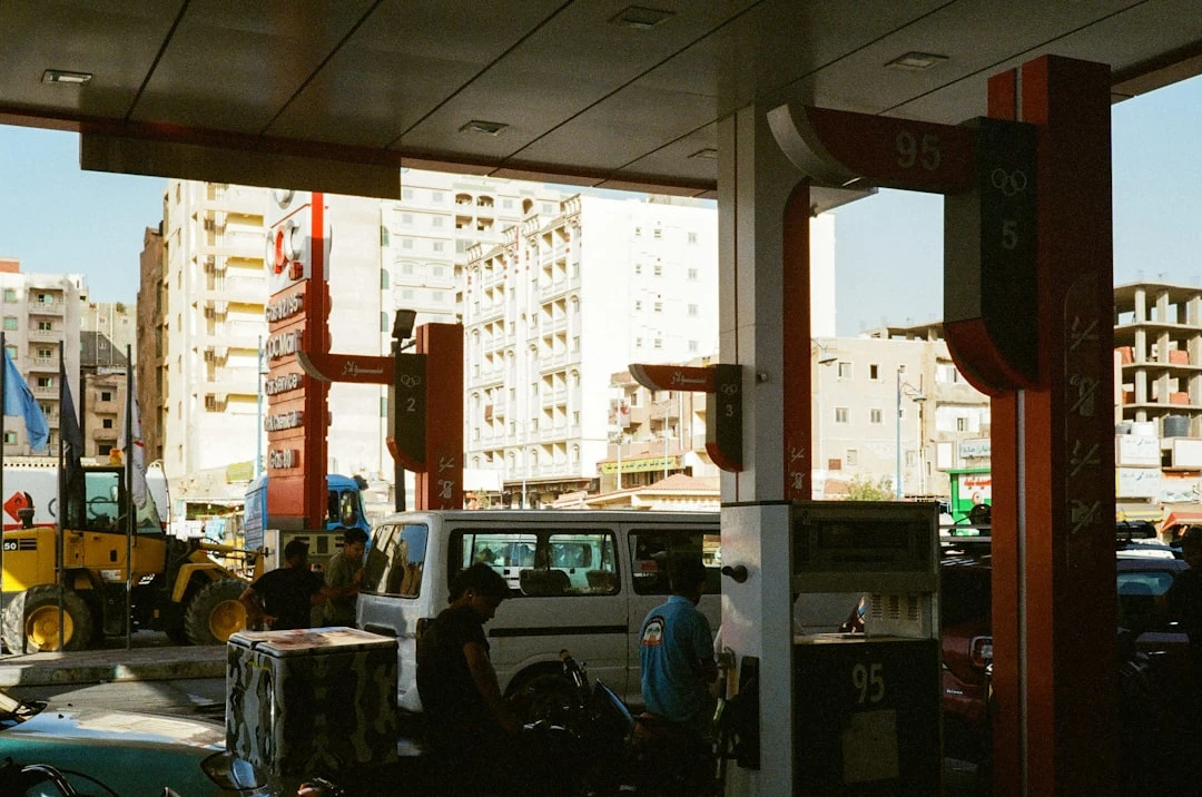 Chất lượng và số lượng trong backlink từ danh sách 2022