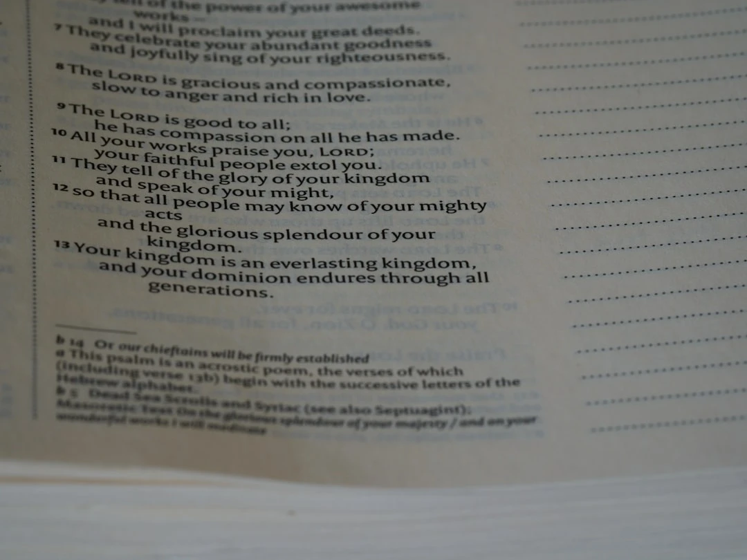 Checklist cho backlink profile bền vững