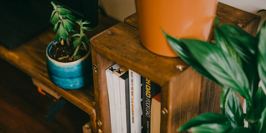 Danh sách việc cần làm với Backlink API