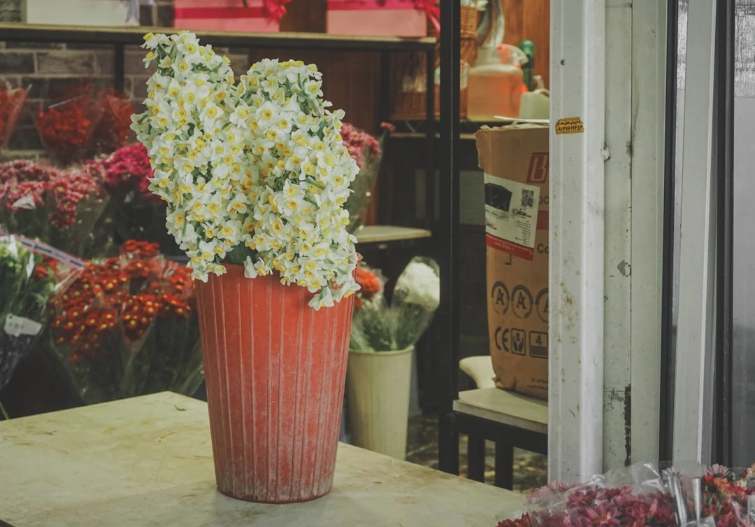 Hình ảnh thành công từ việc sử dụng backlink GPT