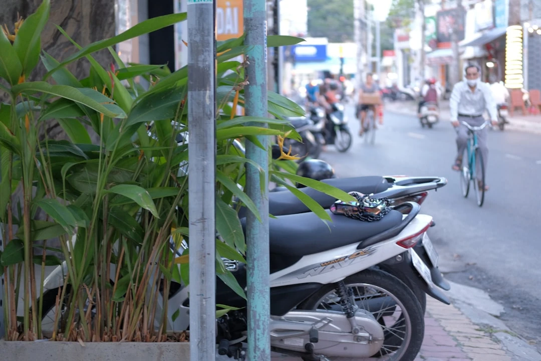 Mô tả chi tiết về chiến lược SEO và tầm quan trọng của backlink