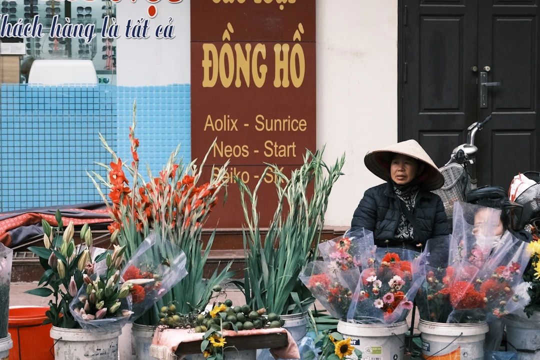 Tăng otoritas domain với Backlink PBN