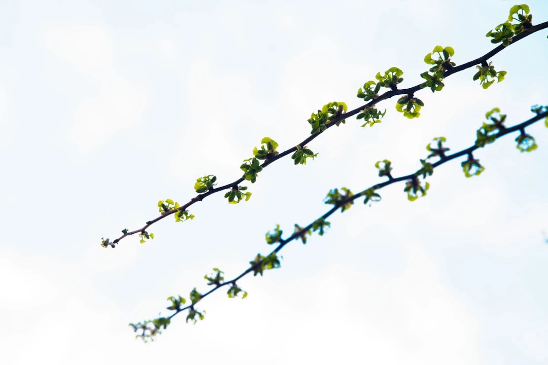 Tốc độ tăng trưởng và liên kết ngữ cảnh