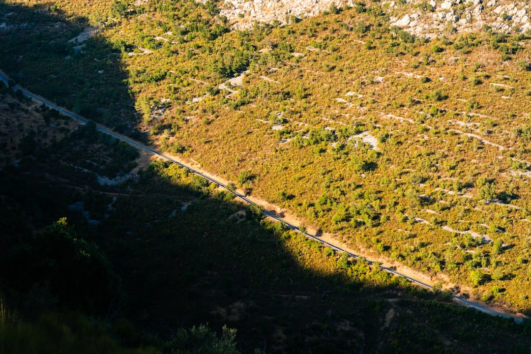 Tránh cạm bẫy khi xây dựng backlink