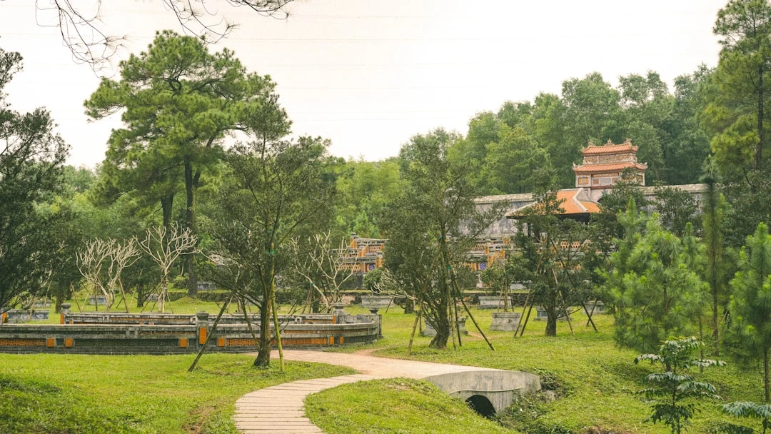 Xây dựng liên kết tự nhiên